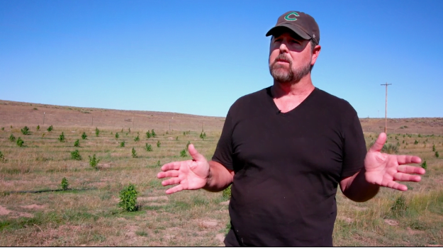 Hemp farmer Michael Bowman on his farm